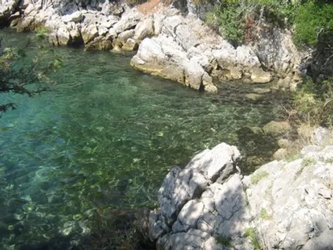 volimore