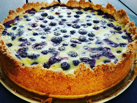 Cheesecake sa borovnicama i pirovim brasnom