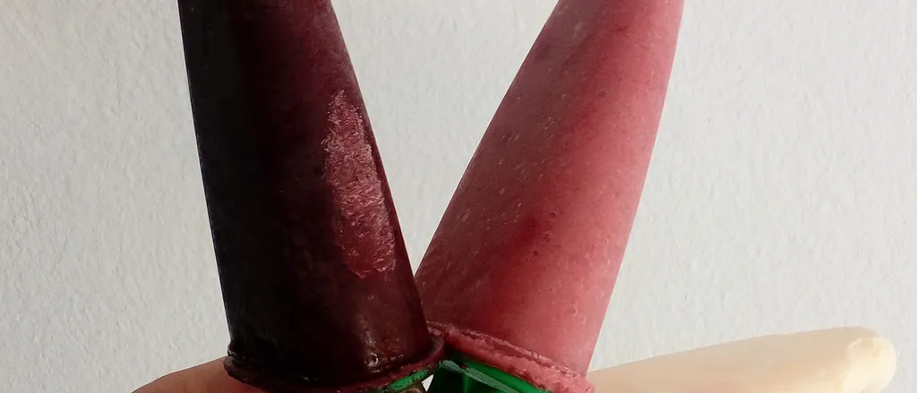 Domaći sladoled
