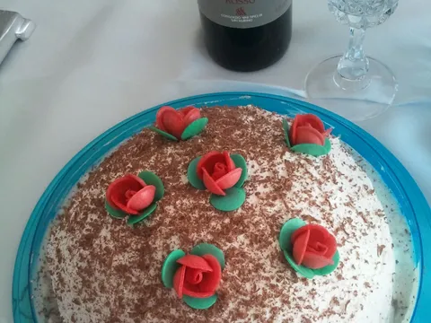 plazma torta   clanice Saryta