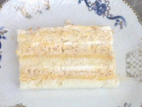 Bela plazma