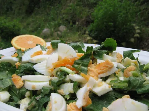 Salata od svjeze Žućenice