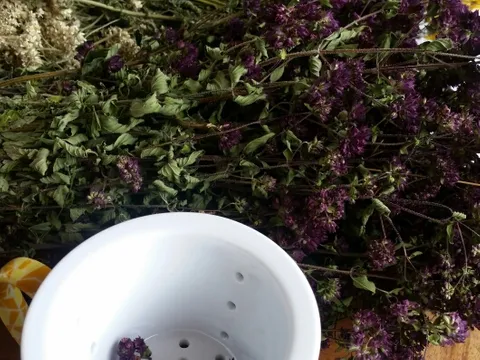 Hercegovački prirodni lekovi (divlji origano, hajdučka trava, kantarion)