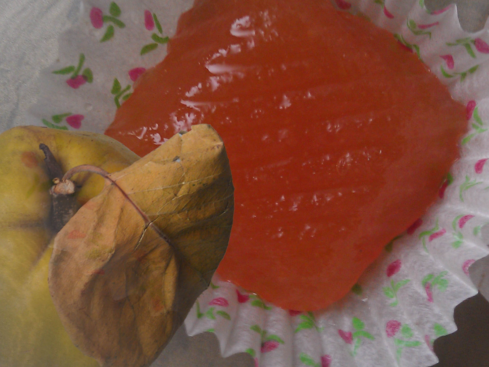 Kitnikez od gunja - (Quitttenkäse) moje bake