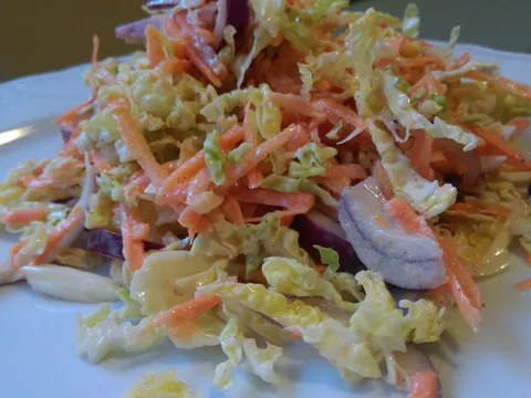 Salata od kupusa ( Coleslaw ) by Luann