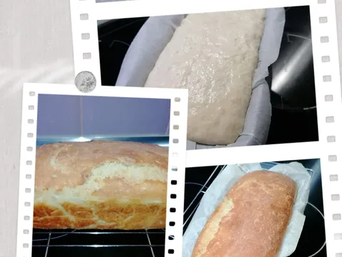 20230306_190333-COLLAGE.jpg