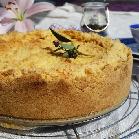 Mrvicasti cheesecake sa borovnicama