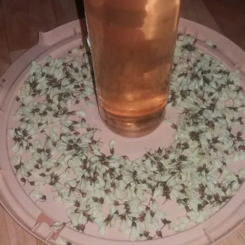Domaći sok od bagrema