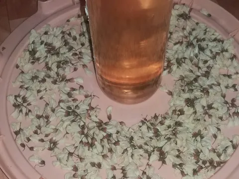 Domaći sok od bagrema
