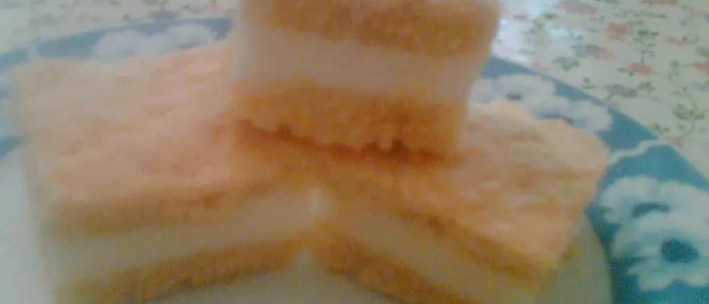 Jogurt pita