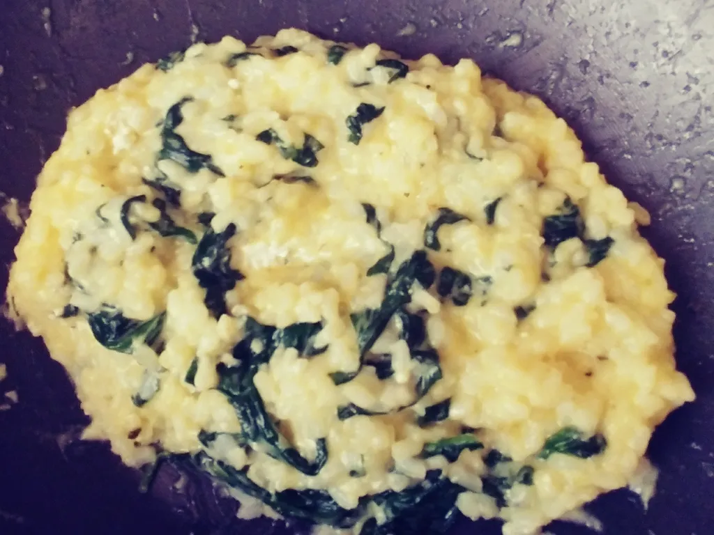 Rižoto sa špinatom feta sirom i mozzarellom
