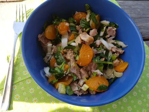Tuna s roštilja na salati