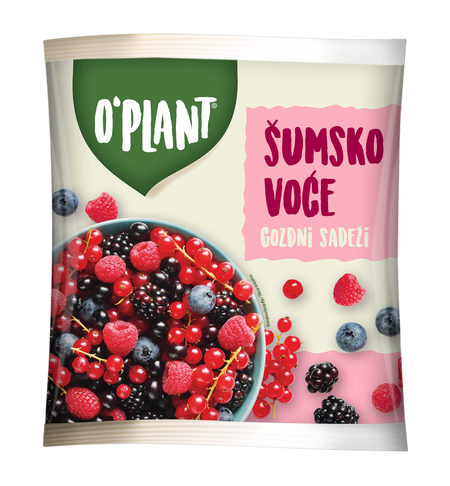 Šumsko voće