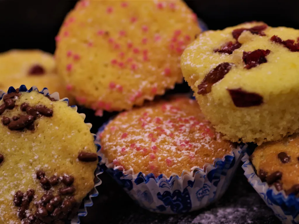 Madeleines Po Moju