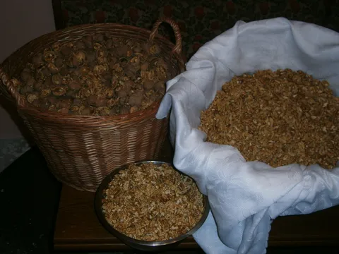 Moja luda zabava