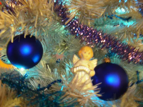 moj božični bor..