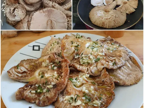 Sunčice gljive iz tave