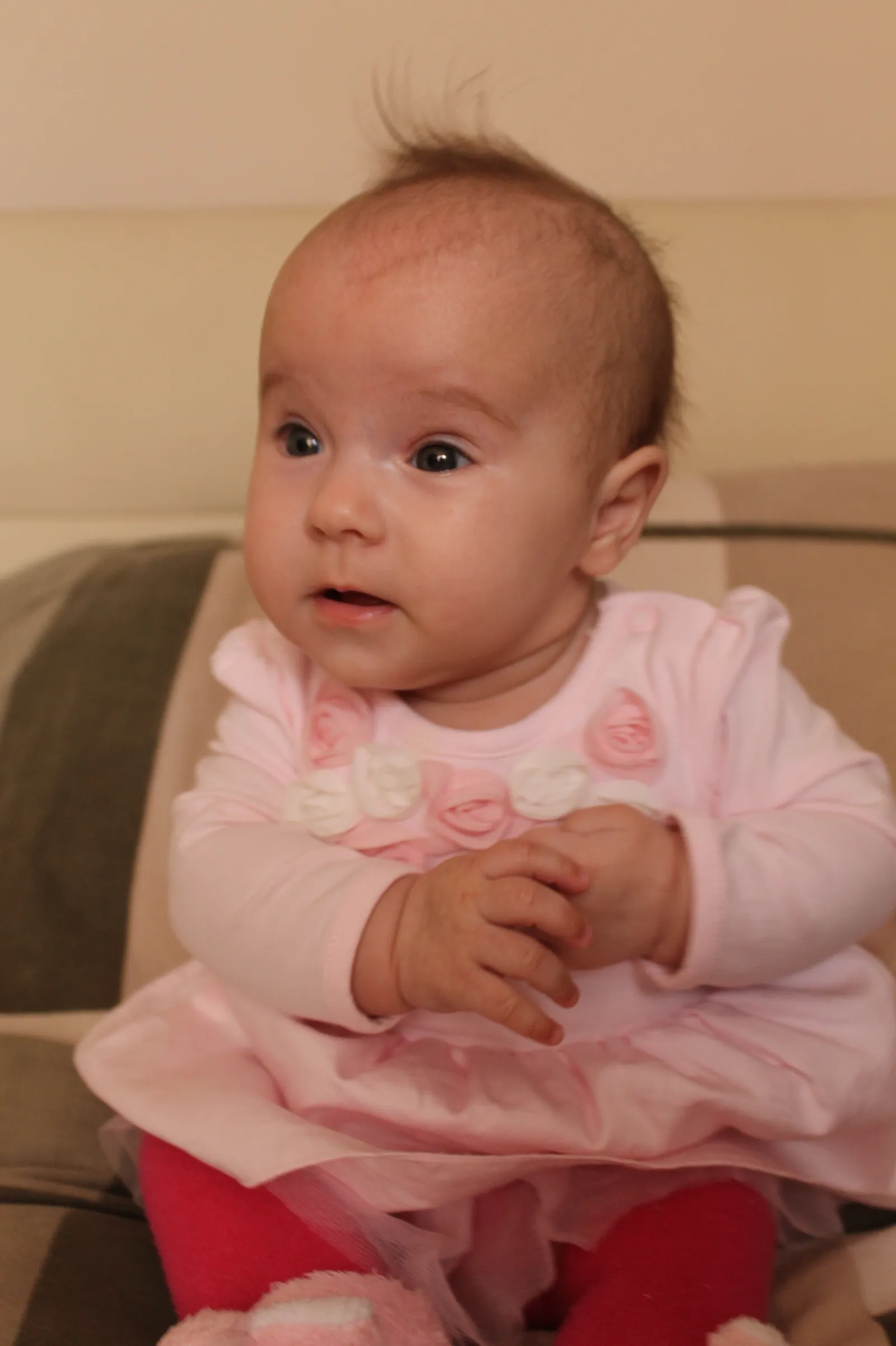 Gaby