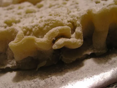 Razigrane faltice