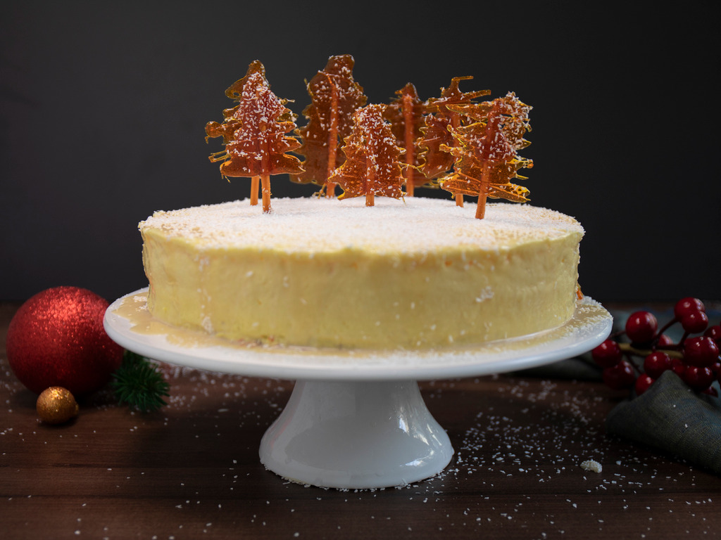 Blagdanska zimska torta
