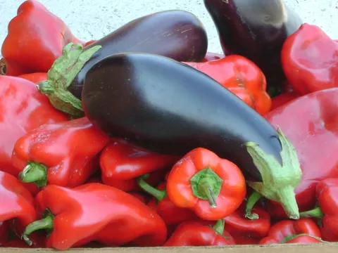 Ajvar od paprika I plavog patlidžana