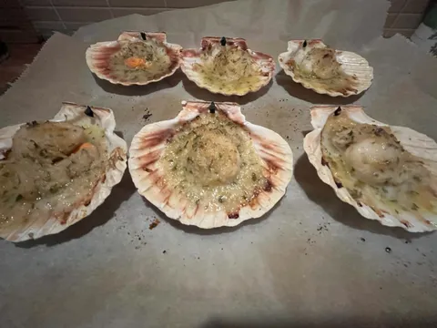 Gratinirane Capesante.jpeg