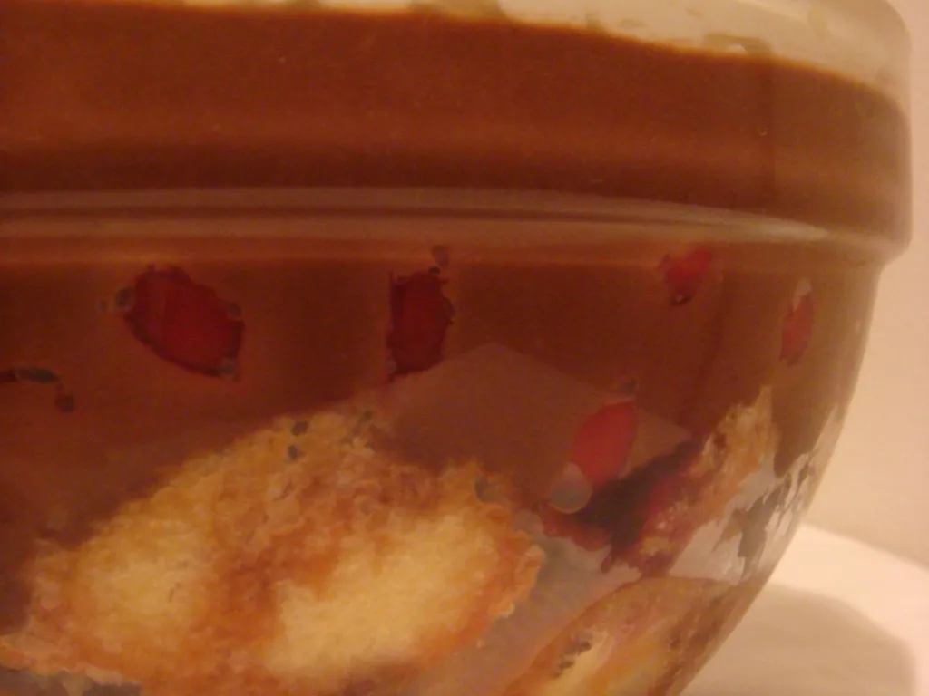 Cherry chocolate trifle