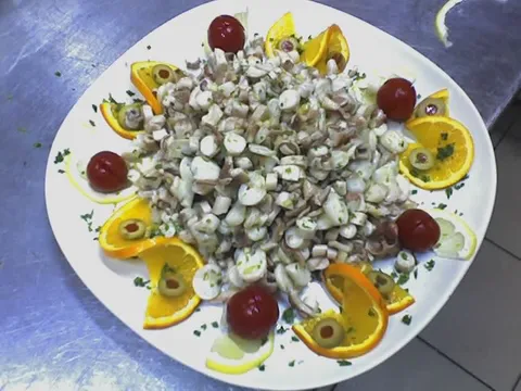salata od hobotnice