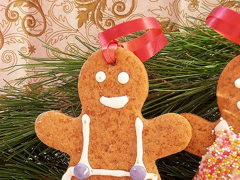 Gingerbread cookies - Omnia
