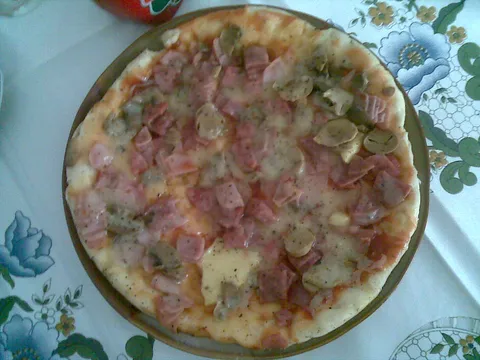 Ludo testo