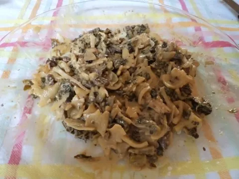 PILETINA-POVRCE-FARFALE