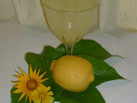 Sok-Sirup  Od Kaštelanskog LImuna