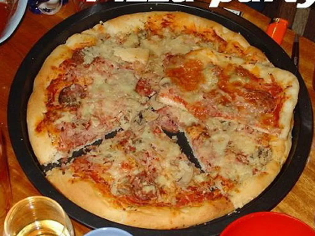 TESTO ZA PIZZU