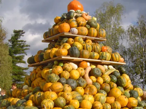 Bundevijada 2007.