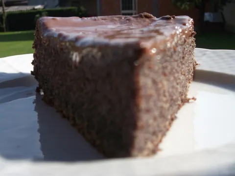 Penasta torta od maka by Sneca