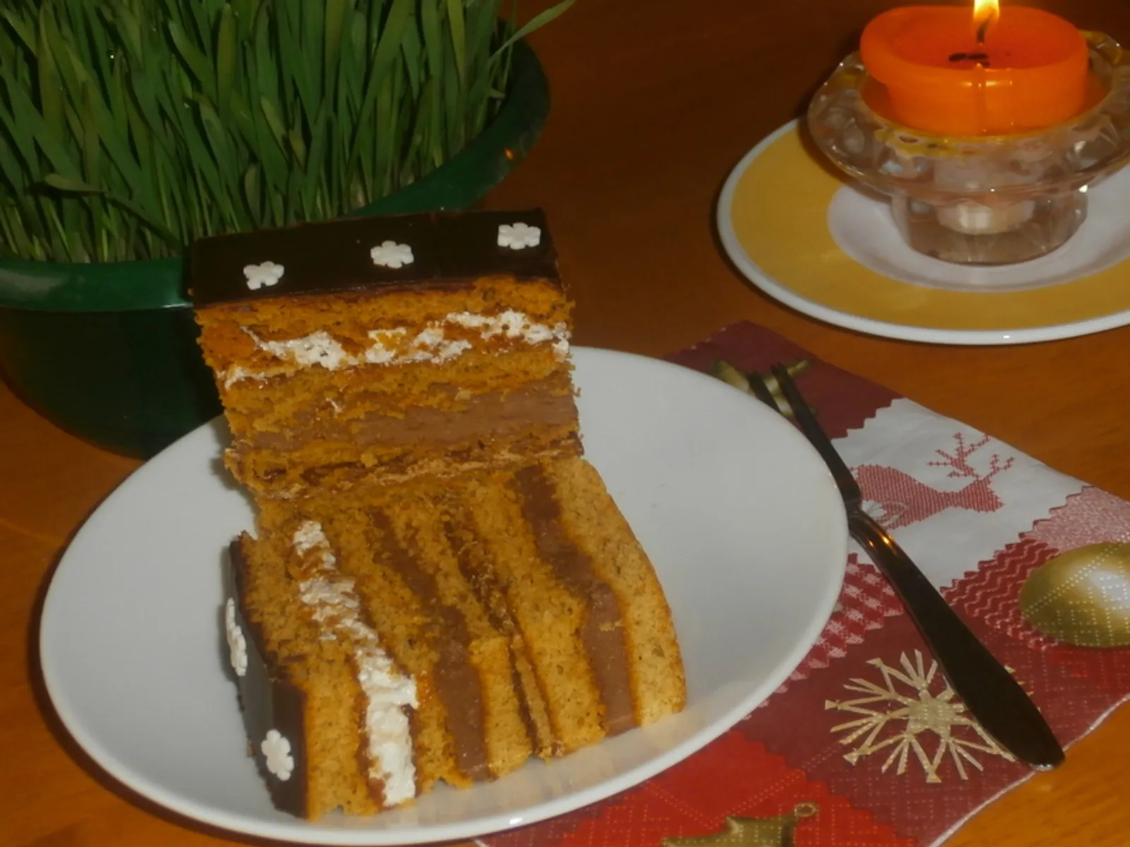 Dekorativna fotografija