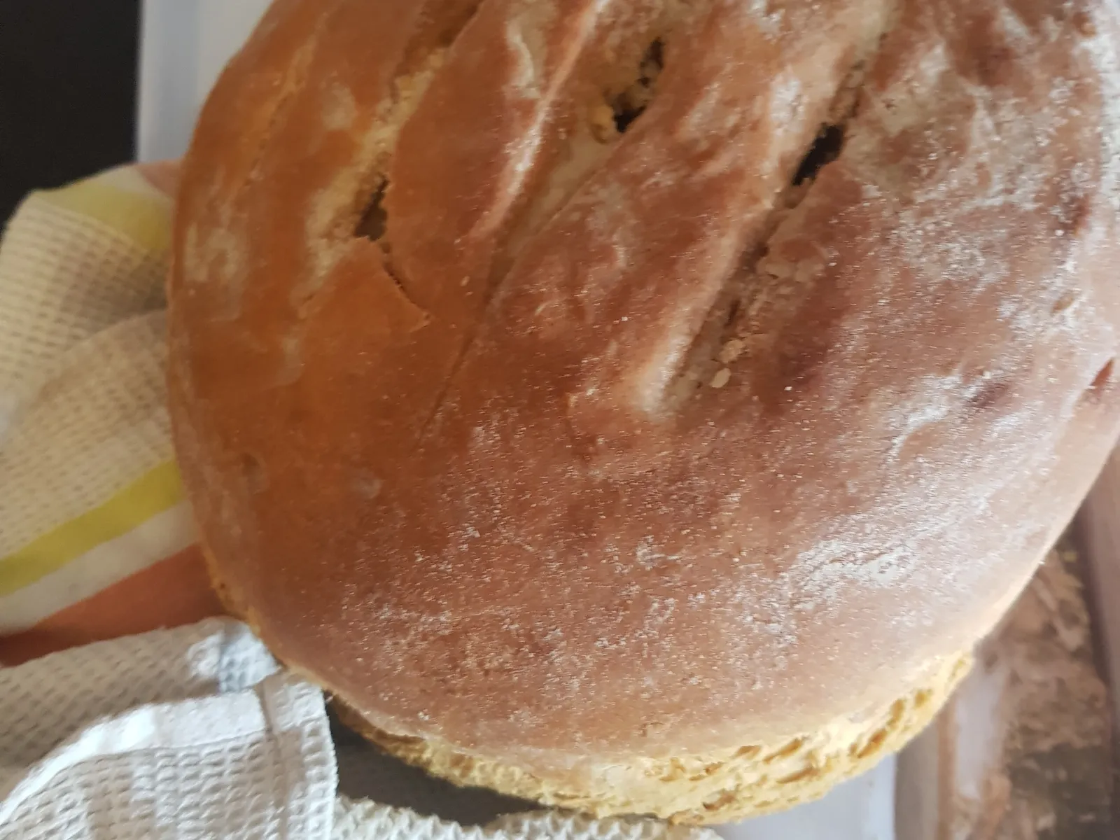 Dekorativna fotografija