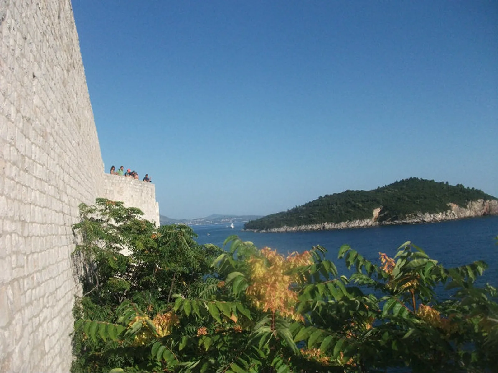 Dekorativna fotografija