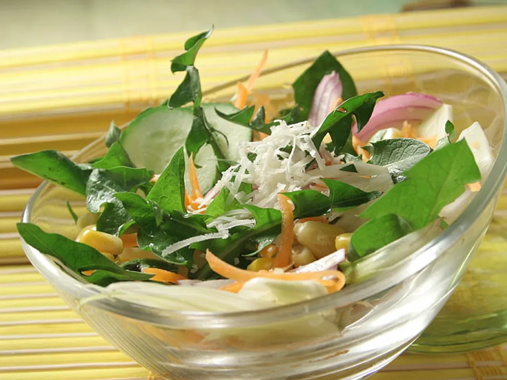 Salata od maslačka