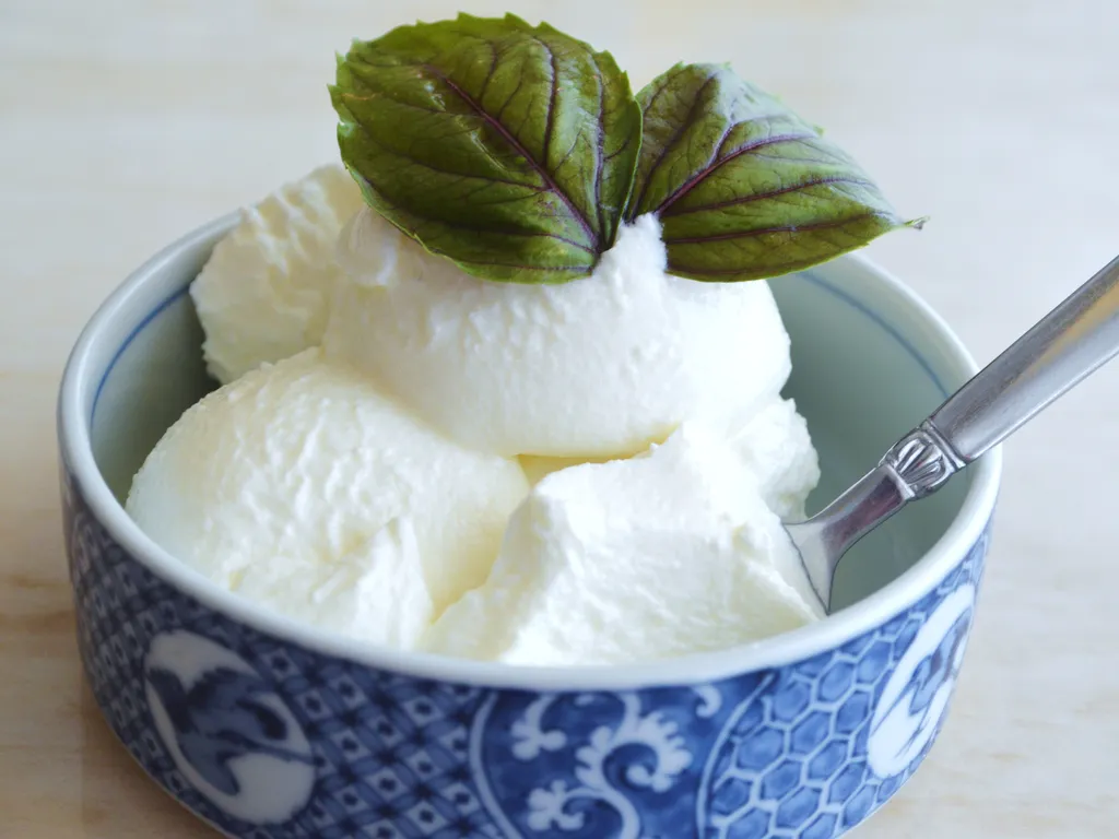 Domaci jogurt na Kurdski nacin