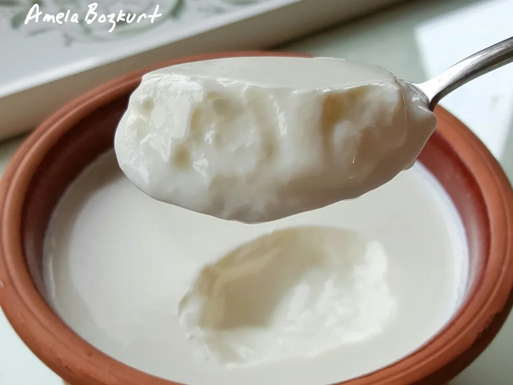 Domaći gusti jogurt