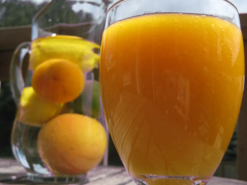 Agrumi smoothie