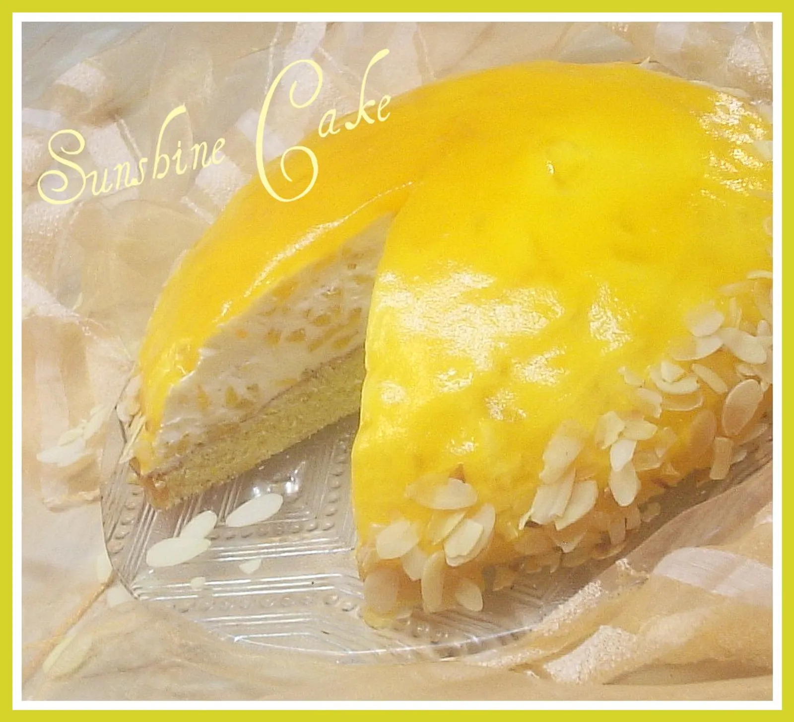 Sunčana torta