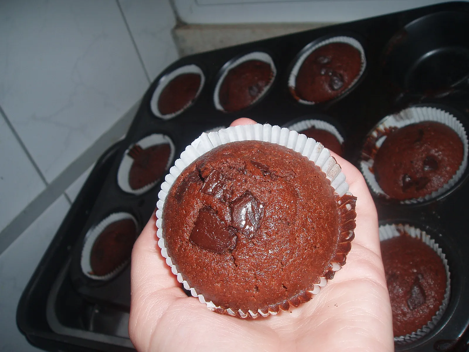Chocolate Chip Muffins
