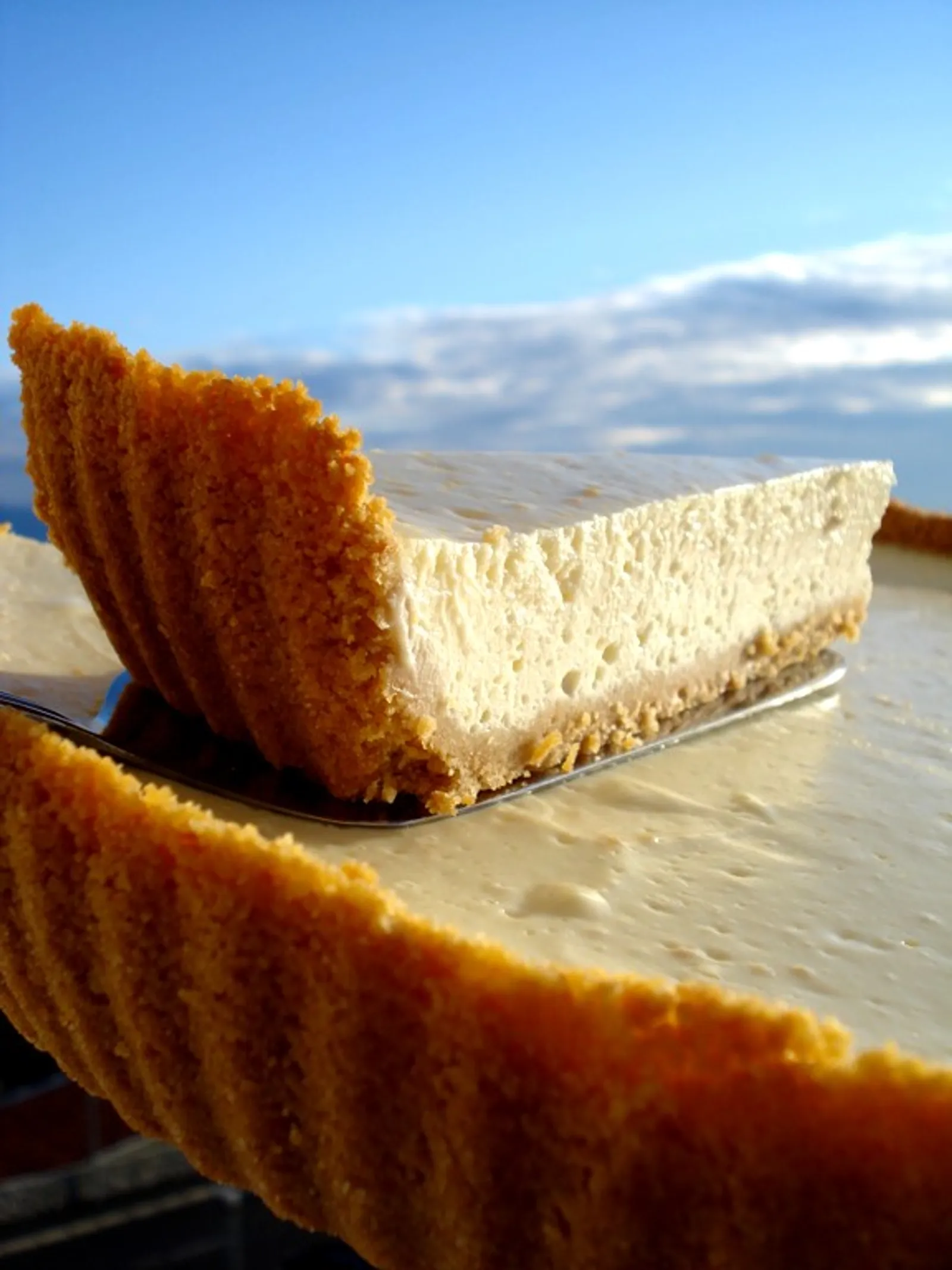 New York Cheesecake by mmmary