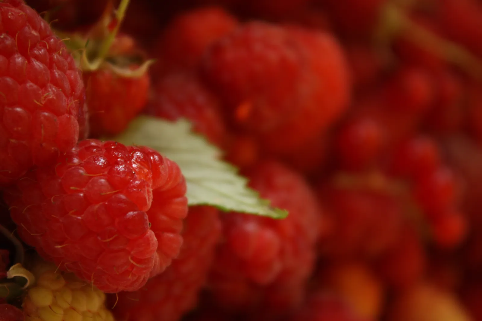 Maline :)