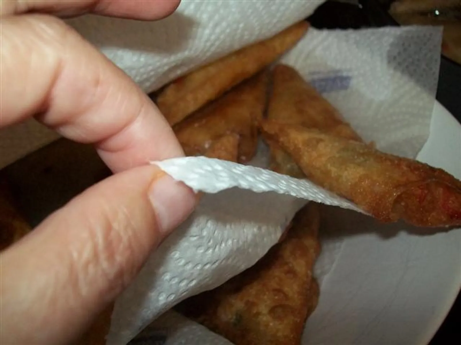 Vegeterijanska sambosa