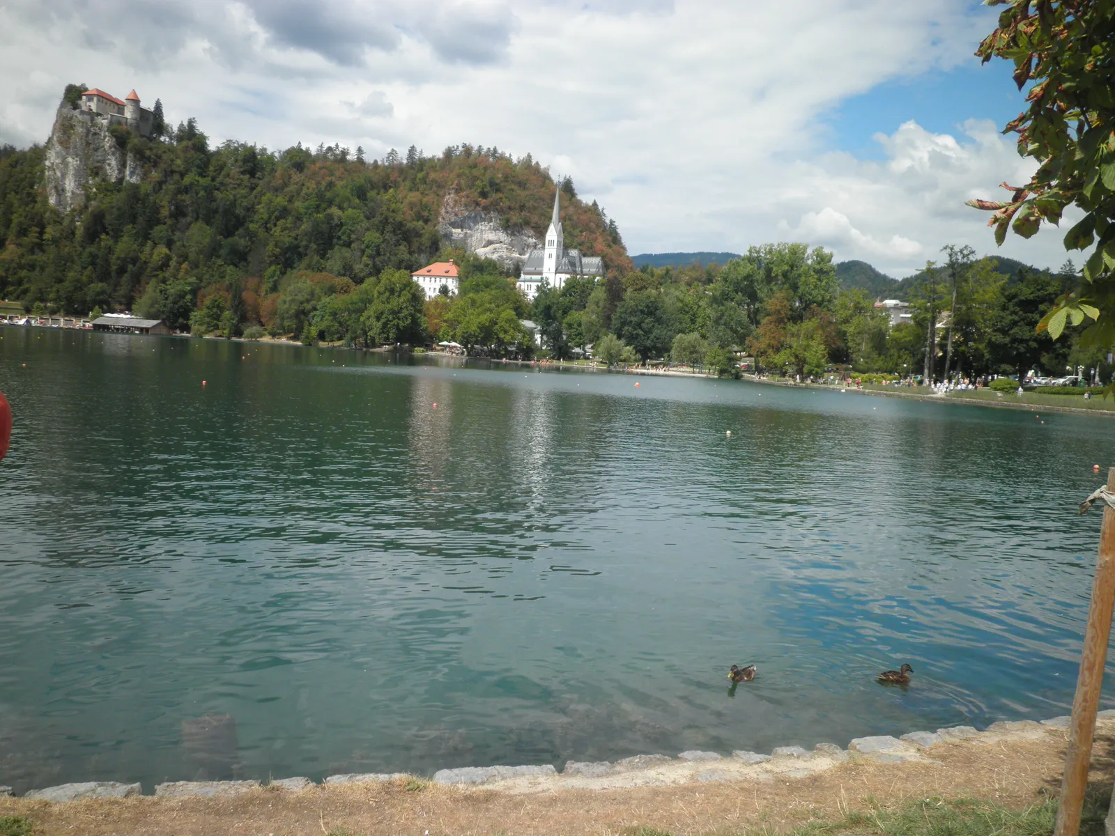Image 2928016 (auto)
