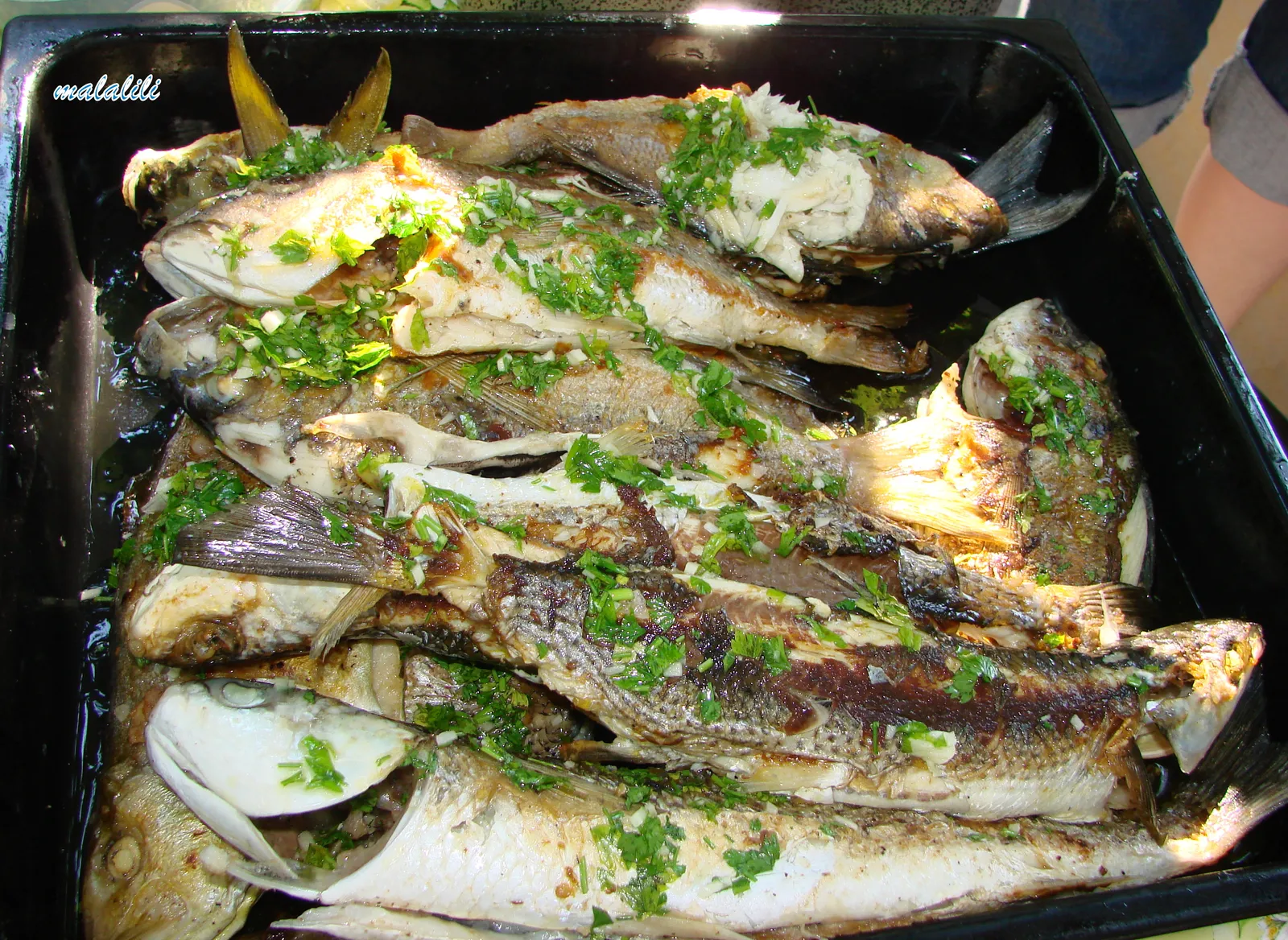 Orade, brancini...zubatac....cipli...-na grillu