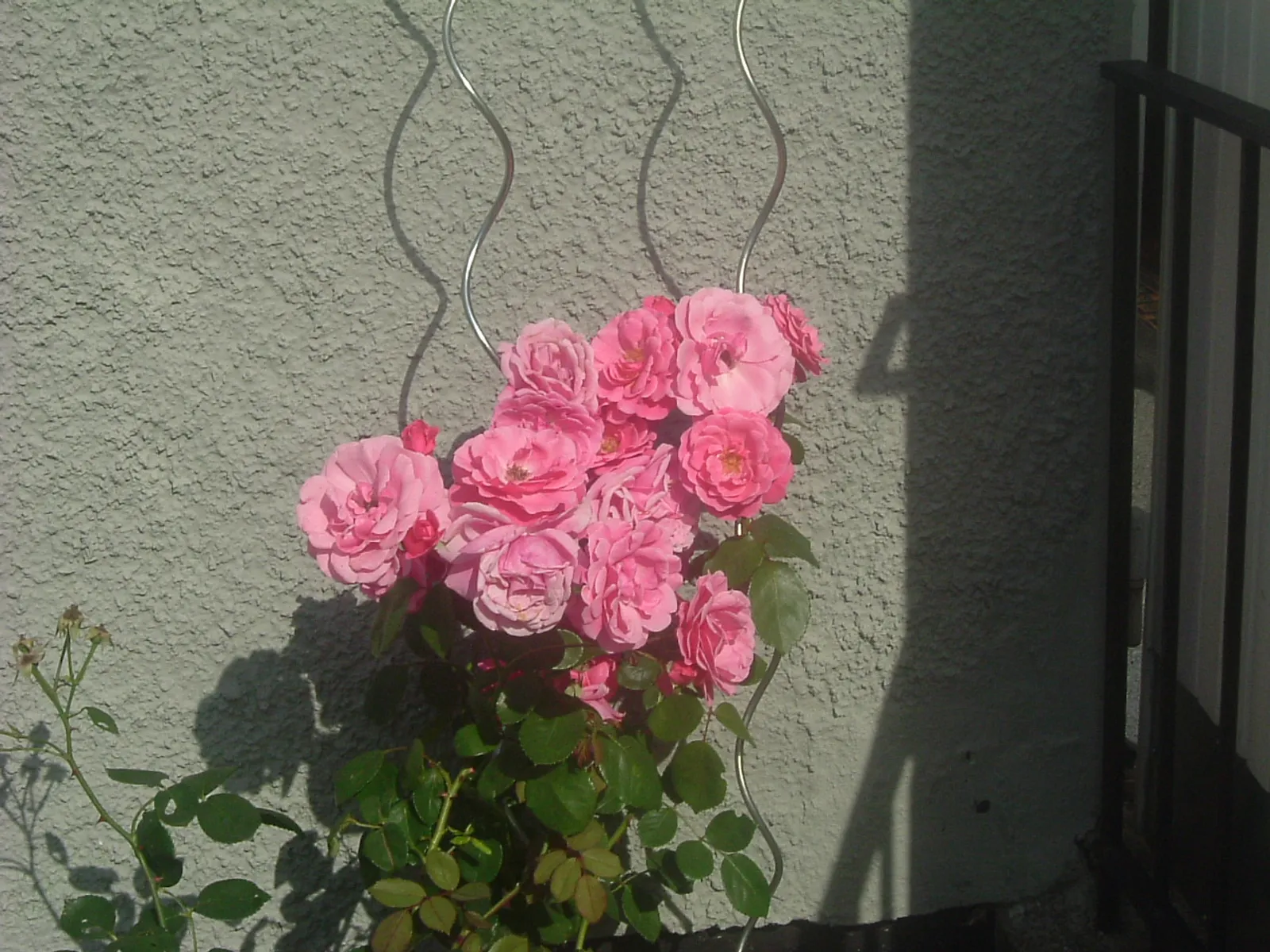 Image 19644 (auto)